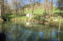 Prestigious residence, swimming pool, on more than 15 hectares closed with a pond and a source - 3605393PEMM