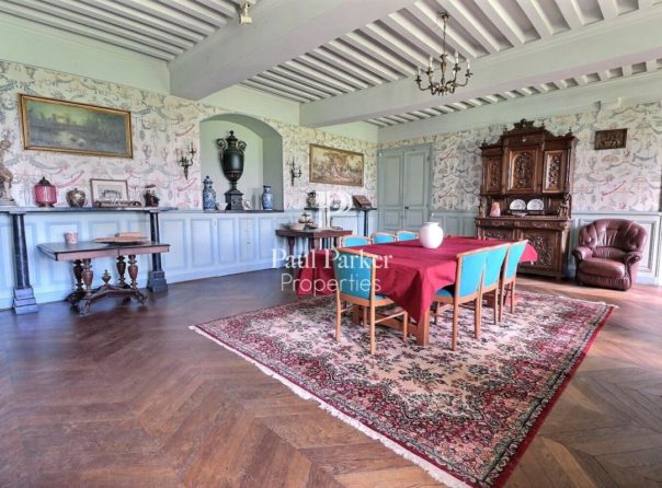 Château and vast spaces for receptions in the heart of Southern Burgundy - 3647743PSNV
