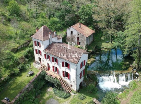 Mill with outbuildings, spring and lake near Cahors - 3704343PEMM