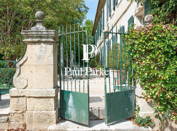Demeure de prestige Saint Remy De Provence 550 m2 - 3646263PEPN13PEPN