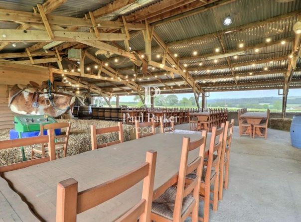 Equestrian property - 3694793PSNV