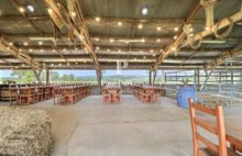 Equestrian property - 3694793PSNV