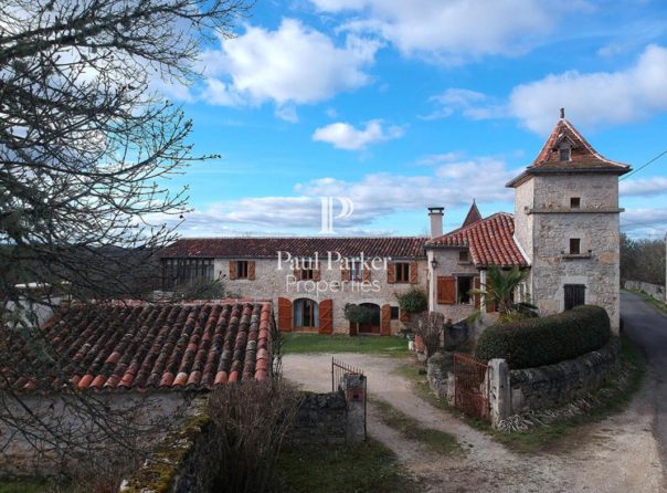 Authentique maison en pierre avec pigeonnier, dépendance et piscine - 3569973PEMM