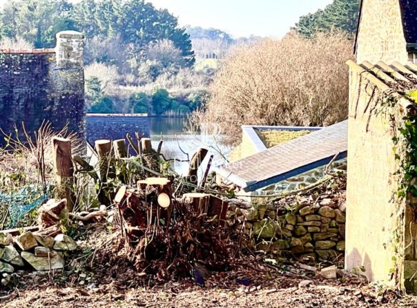 Terrain constrctible de 1000 m2 à pied des sentiers côtiers et des plages du Golfe du Morbihan - 3570423PVIH