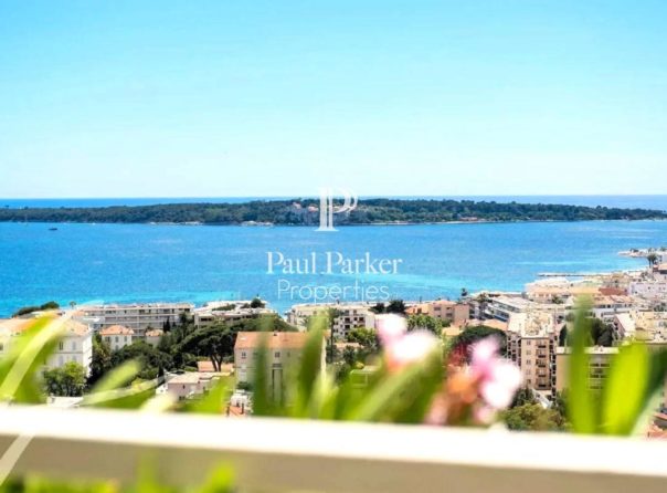 Cannes Basse Californie – Appartement d’exception avec vaste terrasse - 3575003PMVORZ