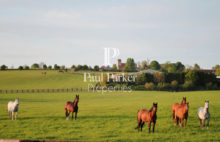 Propriété equestre Caen - 357506-3PADR