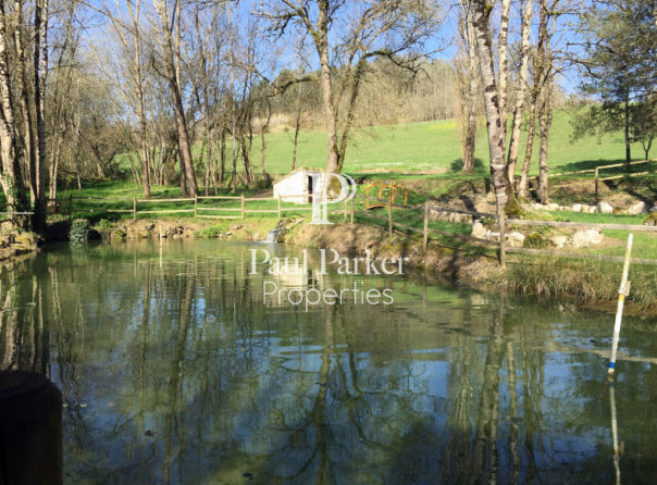 Demeure de prestige, piscine, sur plus de 15 hectares proches avec un étang et une source - 3605393PEMM