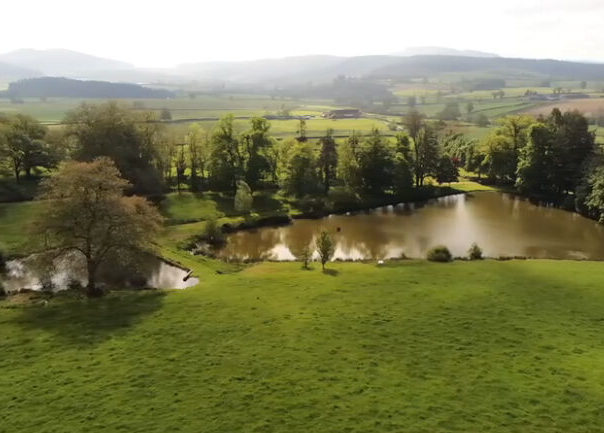 Château et vastes espaces pour réception sur 25 hectares au Sud de la Bourgogne - 3647743PSNV