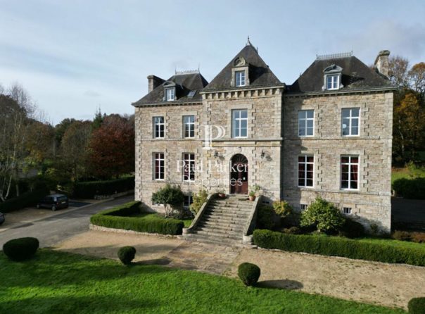 Château et gîtes sur 17 ha - 373782-3PADR