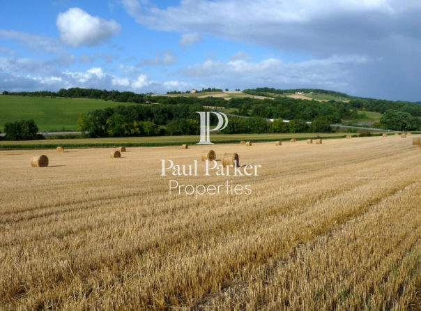 Propriété céréalière avec bâtiments de stockage - 3845383PADR