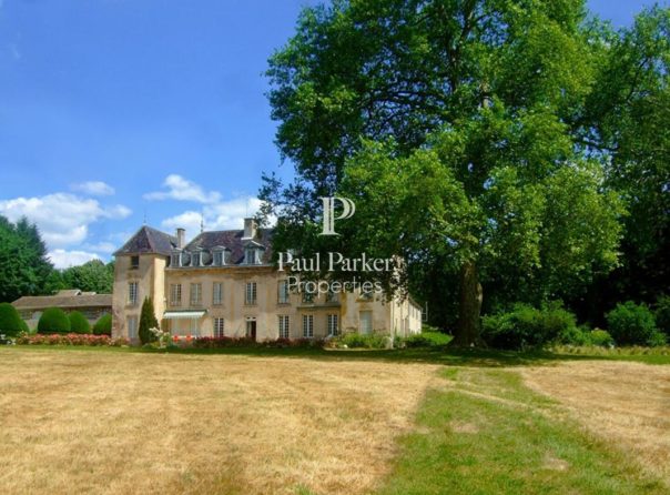 Château and vast spaces for receptions in the heart of Southern Burgundy - 3647743PSNV