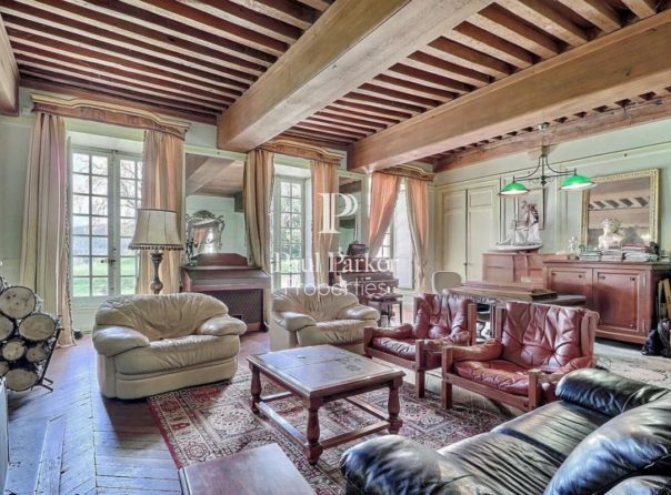 Château and vast spaces for receptions in the heart of Southern Burgundy - 3647743PSNV