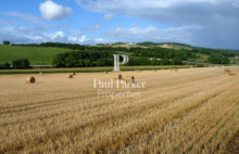 Propriété céréalière avec bâtiments de stockage - 384538_3PADR