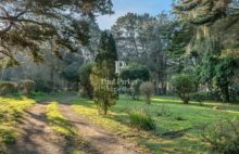 Saint Marc sur Mer – Property facing the sea – Large wooded park - 3909793PDEKE