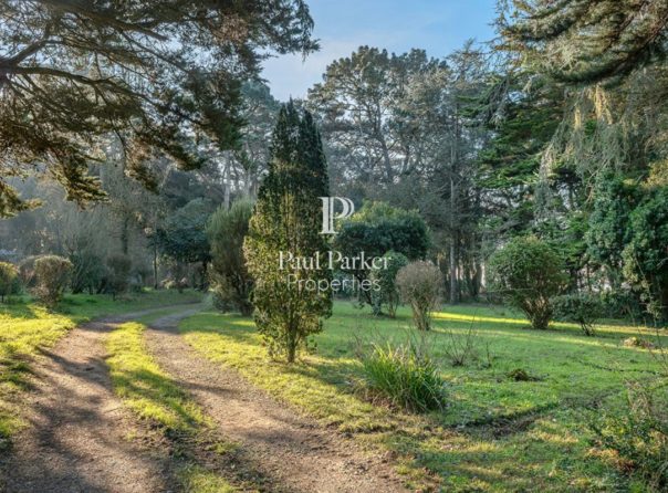 Saint Marc sur Mer – Property facing the sea – Large wooded park - 3909793PDEKE