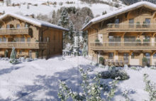 Chalet Praz Sur Arly - 3984753PECI