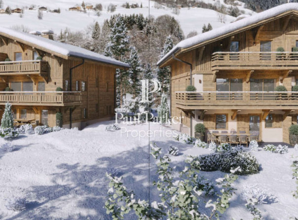 Chalet Praz Sur Arly - 3984753PECI