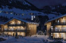 Chalet Praz Sur Arly - 3984753PECI