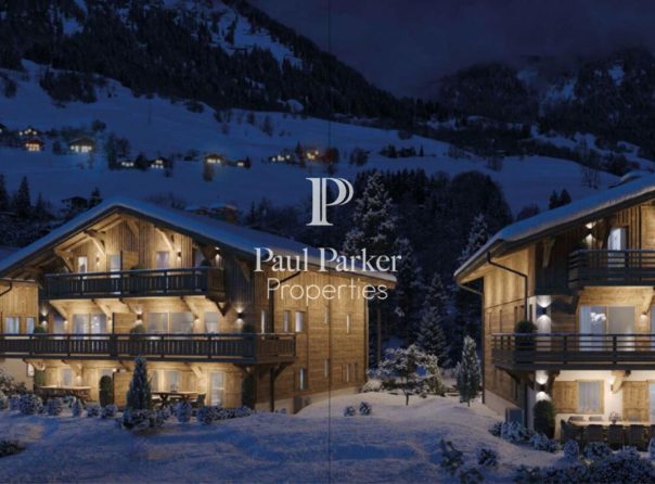 Chalet Praz Sur Arly - 3984753PECI